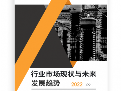 女运动鞋行业现状调研分析及发展趋势预测2022图1
